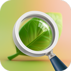 Icona Plant Care - AI Identifier