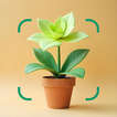 Plante: AI Plant Identifier