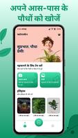 AI प्लांट आइडेंटिफ़ायर पोस्टर