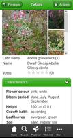 Plant Finder lite imagem de tela 3