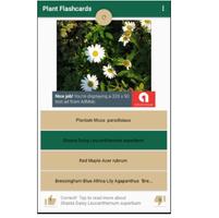 Plant Flashcards Affiche