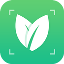 Plant Identify APK