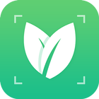 Plant Identify-icoon