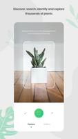 Plant Identify-poster