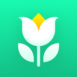 Plant Parent - Der Pflegeguide