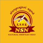 NSN ícone