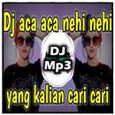 DJ Aca Aca Nehi Full Bass Remix Offline APK