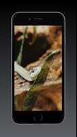 Snake Wallpaper HD, GIF capture d'écran 2