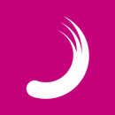 Planisware Events-APK