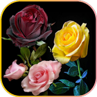 باقات ورود و زهور رائعة icono