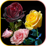 باقات ورود و زهور رائعة icono