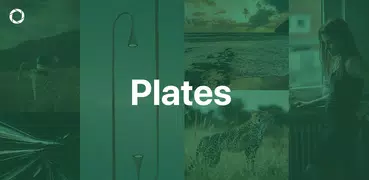 Plates - Photography Community