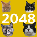 2048 Cats APK
