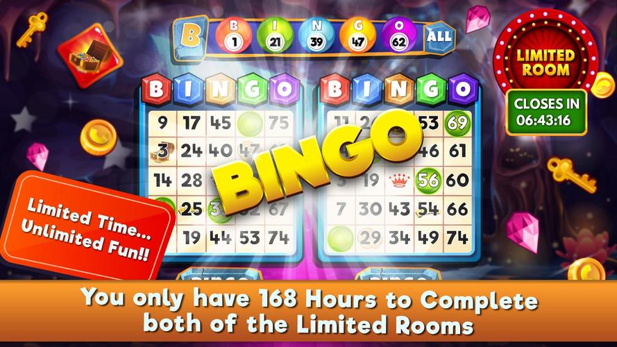 Bingo Bingo