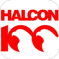 Halcon100