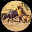 Animaux Chasse Jeux D Pistolet APK