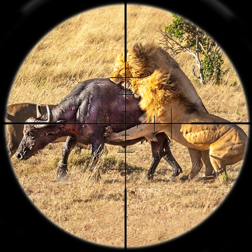 動物狩獵槍遊戲 3D