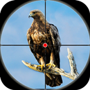 jeux de chasse oiseaux chasse APK