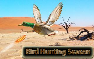 Desert Birds Sniper Shooter 3D poster