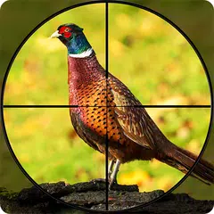 Pheasant Shooter Birds Hunting XAPK download