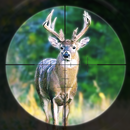 Jeux chasse chevreuil Animal APK