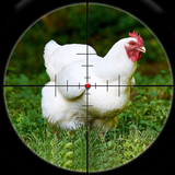 Jeu de défi de chasse poulet icône