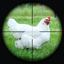 Chasse au tireur d' au poulet APK