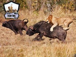 Zwierzęta polujące na safari plakat