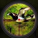 鸭子狩猎野生射击模拟 APK