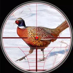 Pheasant Birds Hunting Games APK download