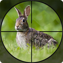 Jeux d'arc de chasse au lapin APK