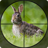 Rabbit Hunting Bow Games