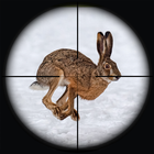Lapin Chasse Sniper Tir icône