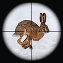 兔子狩猎狙击手射击 APK
