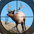 Stag Hunter 2019