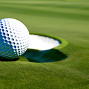 Mini Golf Solo APK