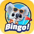Bingo Dice