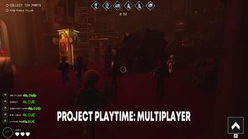 Project Playtime: Multiplayers Affiche