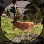 Deer Target Shooting آئیکن