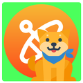 Dog coin