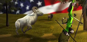 USA Wild Animals Bowhunting 3D