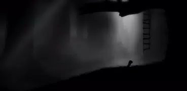 LIMBO demo