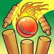 Cricket Bowling