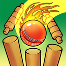 Cricket Bowling APK