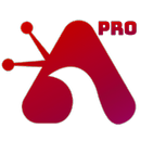 Aron Player Pro APK