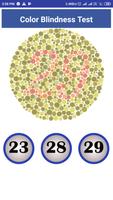 Color Blindness Test ポスター