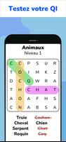 Word Search - Jeu de Puzzle Affiche