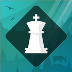 Magnus Trainer icon