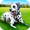 Dálmata Dog Pet Vida Sim 3D APK