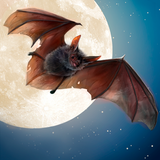 Wild Bat Simulator 3D ikona